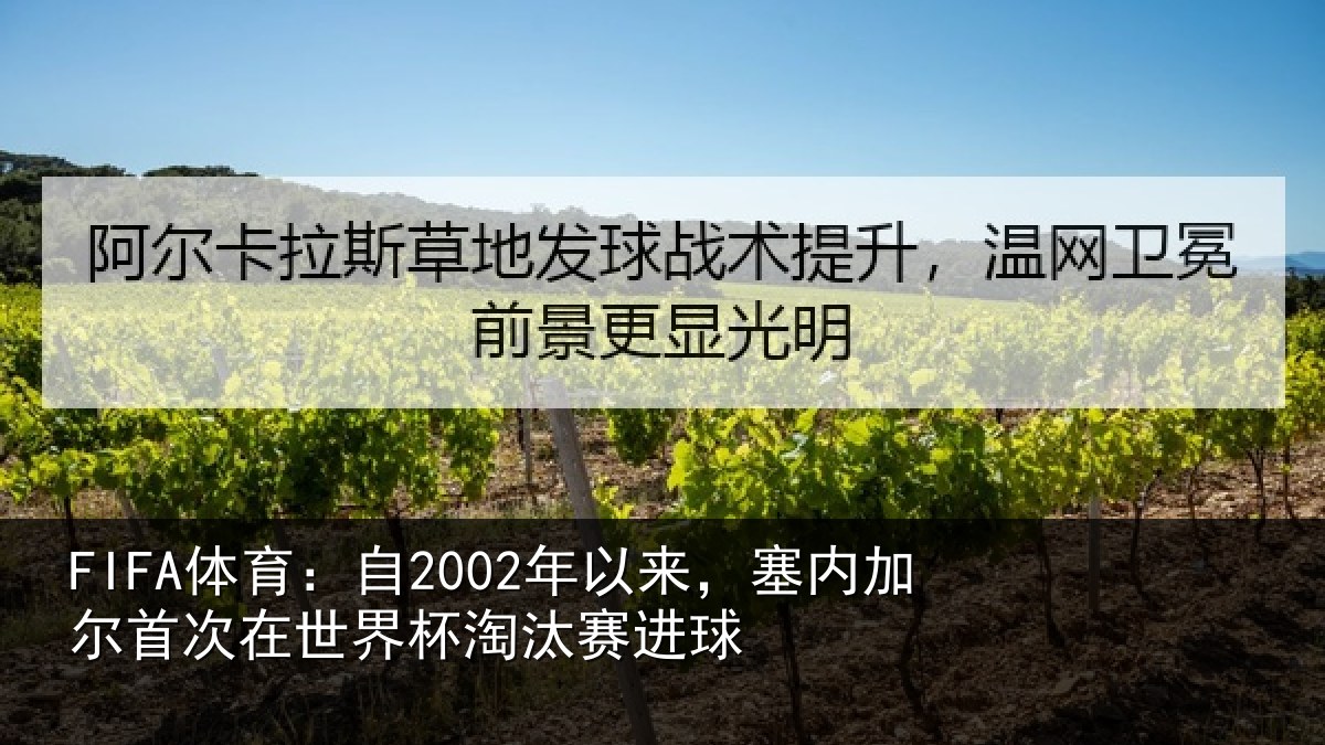 FIFA体育：自年相关情况在世界杯淘汰赛进球